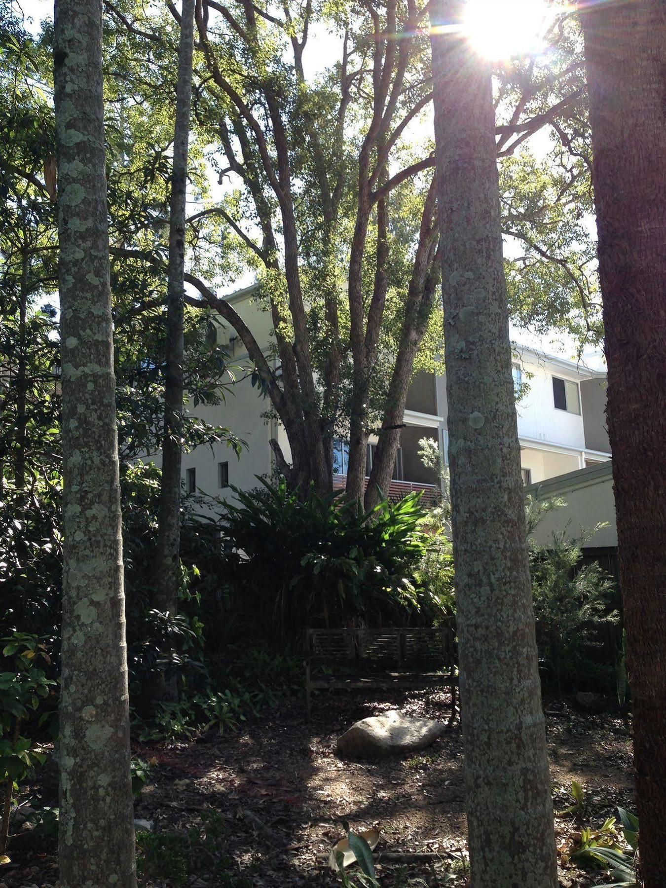 Forest Lodge Apartments Brisbane Luaran gambar