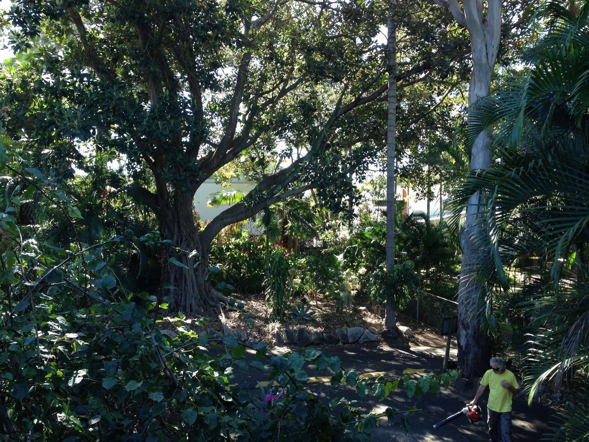 Forest Lodge Apartments Brisbane Luaran gambar
